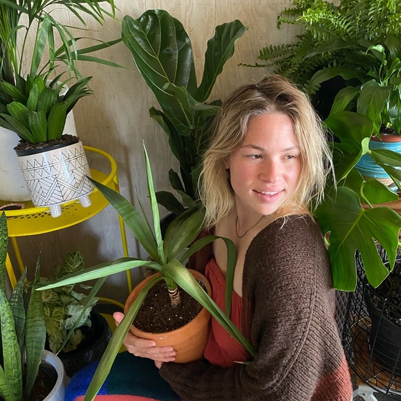 Meet your Posher, Sydney - Picture 2 of 2